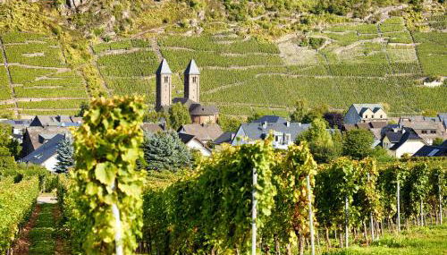 Ferienhaus Zenz - Ferienwohungen - Foto 2