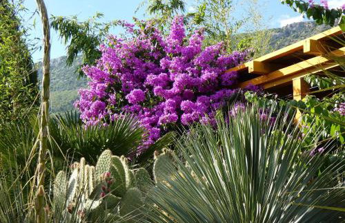 Villa Tropica, total privacy, tropical garden and private pool - Photo 73