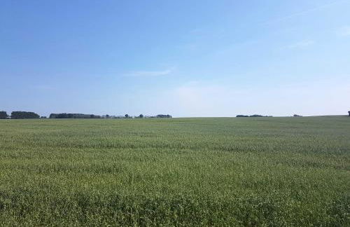 Doppelhaushälfte Nordwind vom Naturhof Usedom - Foto 50
