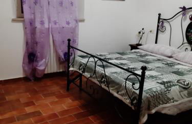 Agriturismo Uliveto Gretacci - Foto 27