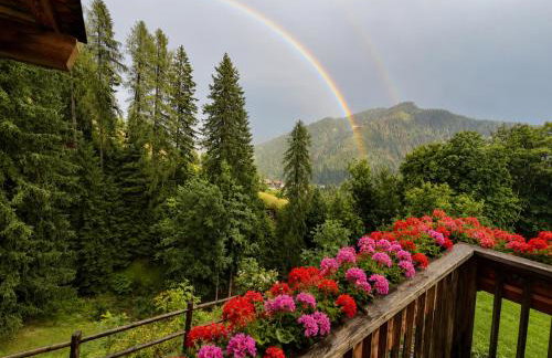 Maso Pallabazzer - Colle Santa Lucia - Foto 32