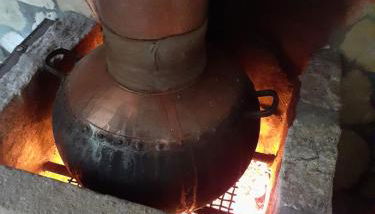 Aromas dos Salgueiros - Foto 4