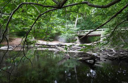 Ferienwohnungen am Krakower See - Foto 29