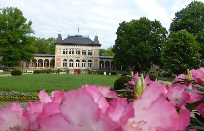 Ferienwohnungen Elsterblick - Foto 21