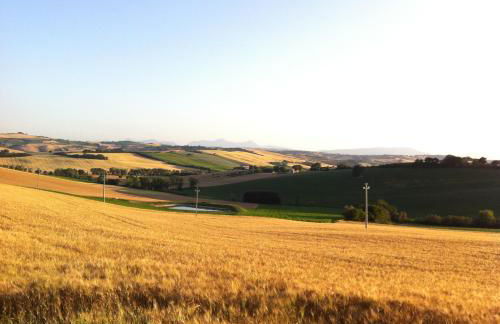 Agri Divin Amore - Foto 6