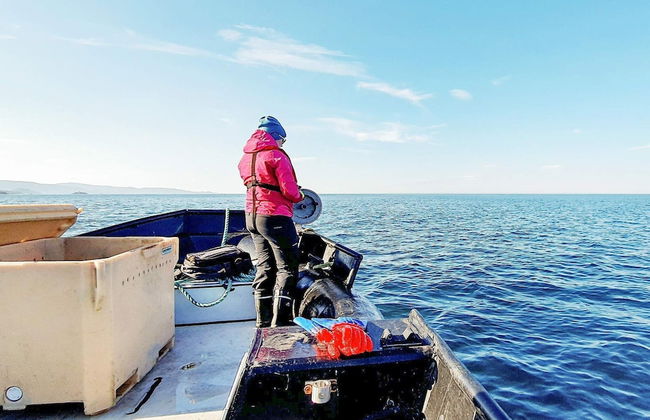 7 Person Holiday Home in Jarfjord-by Traum - Photo 30