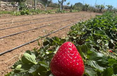 Agriturismo Su Barraccu - Foto 23