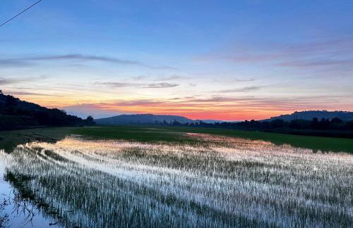 OakTree Villa - Quinta da BellaVista - Foto 19