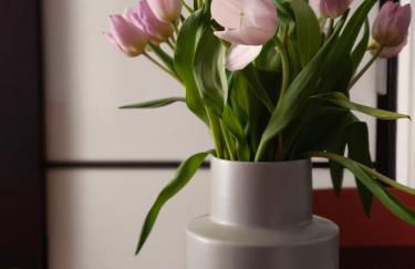 Fluère - Via Riva Reno - Foto 23