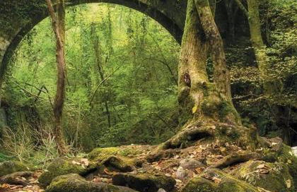 Adiva Casa Da Avoa - Photo 49