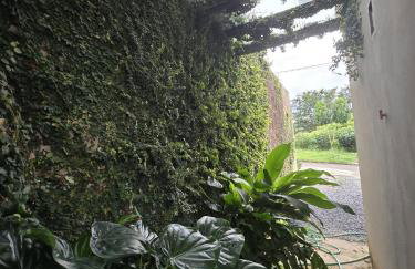 Casa/chalé Furnas - Capitólio MG - Foto 35