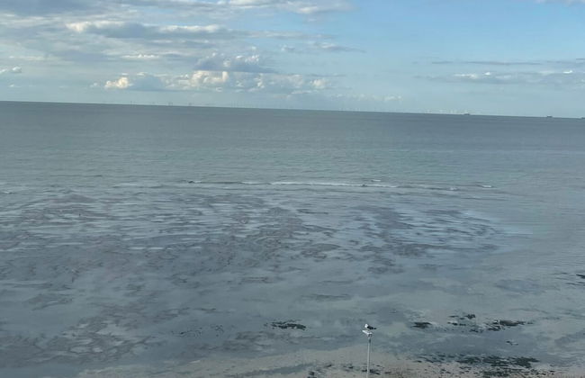 Margate uninterrupted sea views - Foto 38