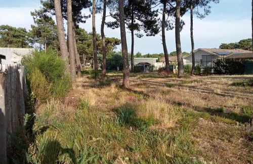 Santa Monta - Foto 31