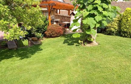 Wickys Igelnest - Foto 58