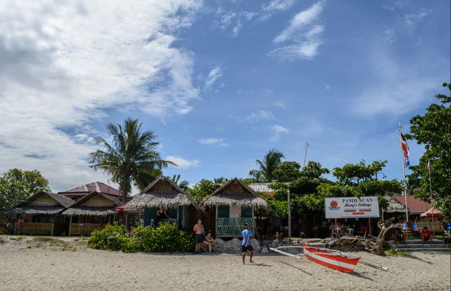 Avistamiento de delfines y ballenas en Bohol - Foto 3