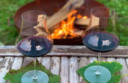 Pet and Breakfast Pet Friendly Country House - Foto 30