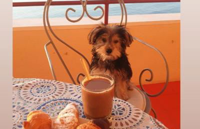 1ª LINEA DE MAR CON VISTA FANTÁSTICA - Foto 26