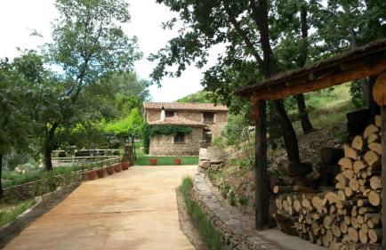 Abejas 1 de El Vergel de Chilla - Foto 47