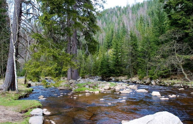 Holiday Apartment Pure Nature - Foto 12