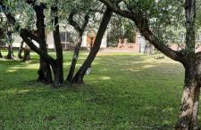 La Teodolinda - Foto 1