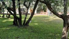 La Teodolinda - Foto 1, Garden, Garden view