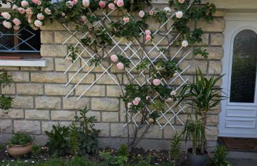 Cosy appartment with access to garden, parking and direct line to Eiffel tower - Foto 7