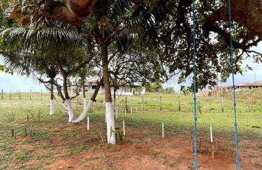 Casa de frente para o mar, pé na areia! - Foto 16