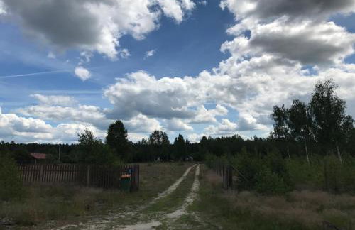 Dom Mossa - Photo 42