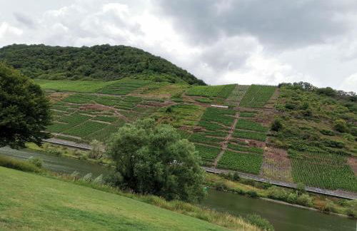 Ferienwohnung Moselblick - Photo 31