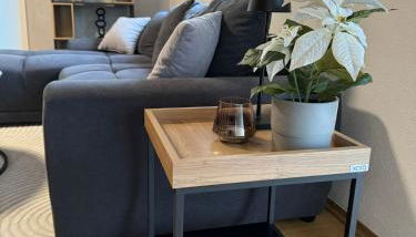 FeWo Kümo III an der Regnitz Bischberg's - Foto 3