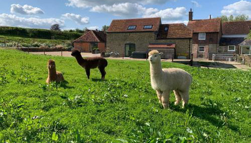 Swallows Nest - Foto 2