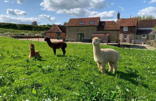 Swallows Nest - Photo 2