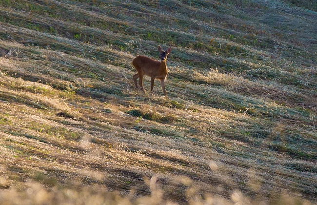 Relais L'Antico Convento - Foto 32