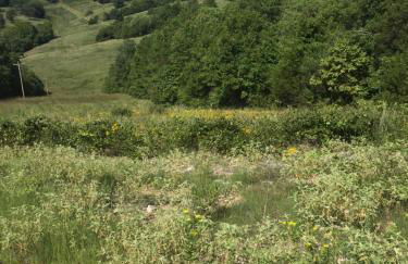 Cherokee mountain log cabin resort - Foto 38