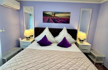 Charming apartment with Garden, Free Parking near Basel, Airport, Ger'many, France, - Foto 4