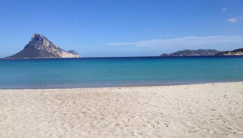 Bilocale degli Oleandri vista mare Porto Taverna - Photo 5