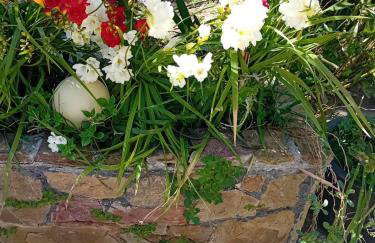 Anassa's Apartment - Άνασσα Διαμέρισμα - Foto 38