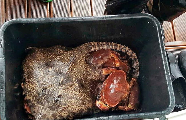 6 Person Holiday Home in Hartbakke - Foto 38