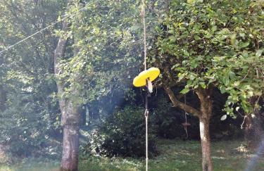 Le nid dans le chêne - Photo 16