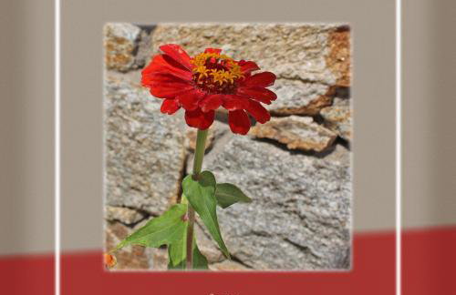 Ikaria Utopia - Cusco Studios - Photo 53