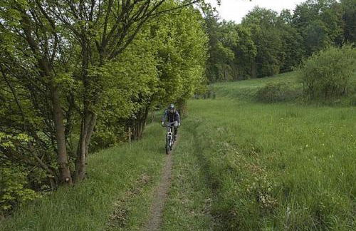 Ferienwohnung Brüssing - Foto 26