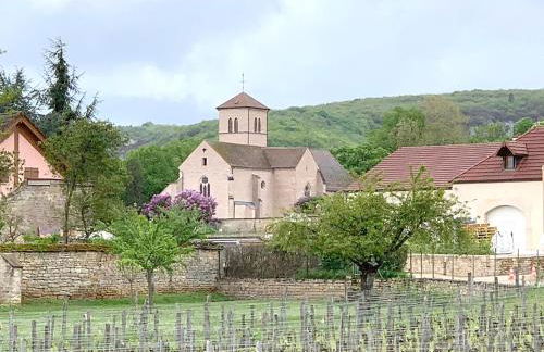 Le Richebourg - Charmant T2 Cosy, tout confort - Foto 17