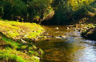 ALOJAMIENTO RURAL EL CASTAÑO - Foto 67