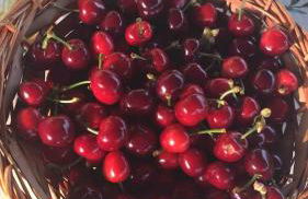 Pugliaholidayplus - VILLA CASSANO - Foto 27