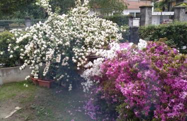 Casa Orisca - Foto 14