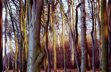 Ferienwohnung Bad Doberan - Foto 34