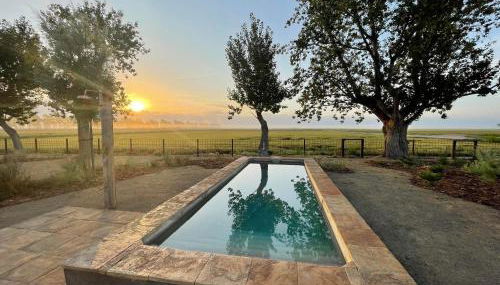 Mas d'en Mas - Foto 3, Garden view