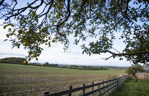 Lime Kiln Farm - Foto 42