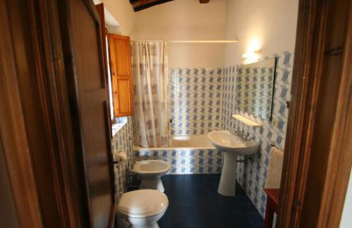 Fattoria Gambaro di Petrognano - Foto 106