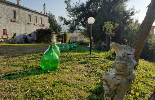 Pier Delle Vigne B&B - Foto 16